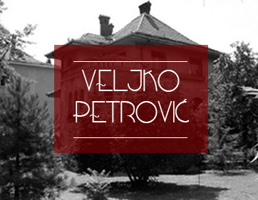 Veljko Petrovic